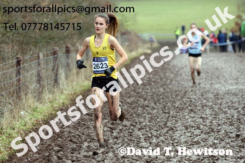 Womens under-20s 2018 British Inter Counties Cross Country Champs., Prestwold Hall, Loughborough. Photo: David T. Hewitson/Sports for All Pics